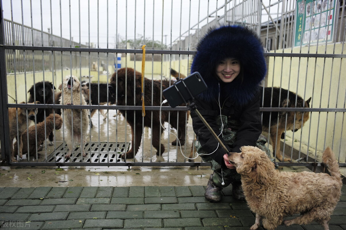 2022适合白手起家的10个创业项目,适合农村人创业的100个项目