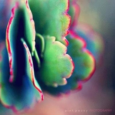 有一种苍凉的美是葱绿配桃红,葱绿配桃红汉服