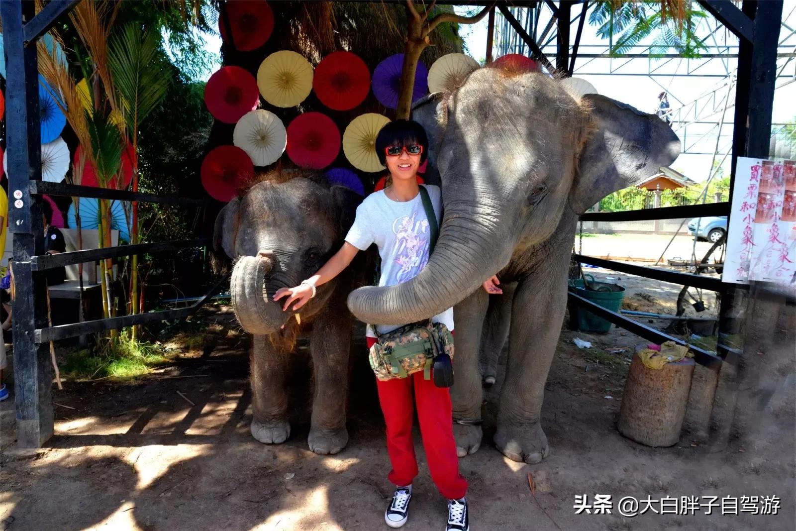 泰国风情之旅完整版小说,泰国风情十日游