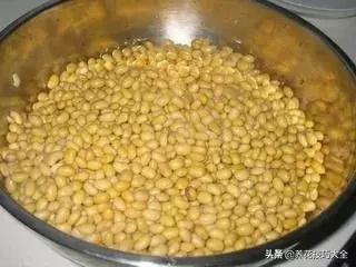 这几种花爱喝水越浇水长得越旺盛,这几种花草浇水浇不对越养越不好