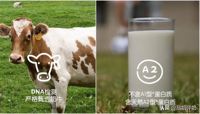 深扒A*奶2**粉内幕,真的有那么神奇吗?