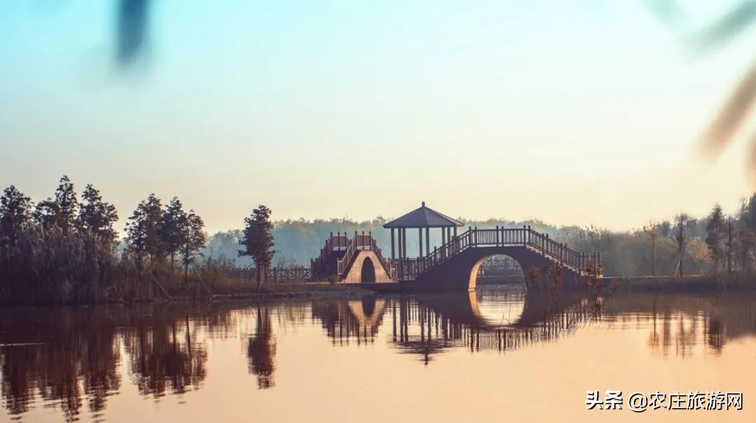 逛水城、登大涪山、吃湖鲜...长荡湖邂逅属于你的秋