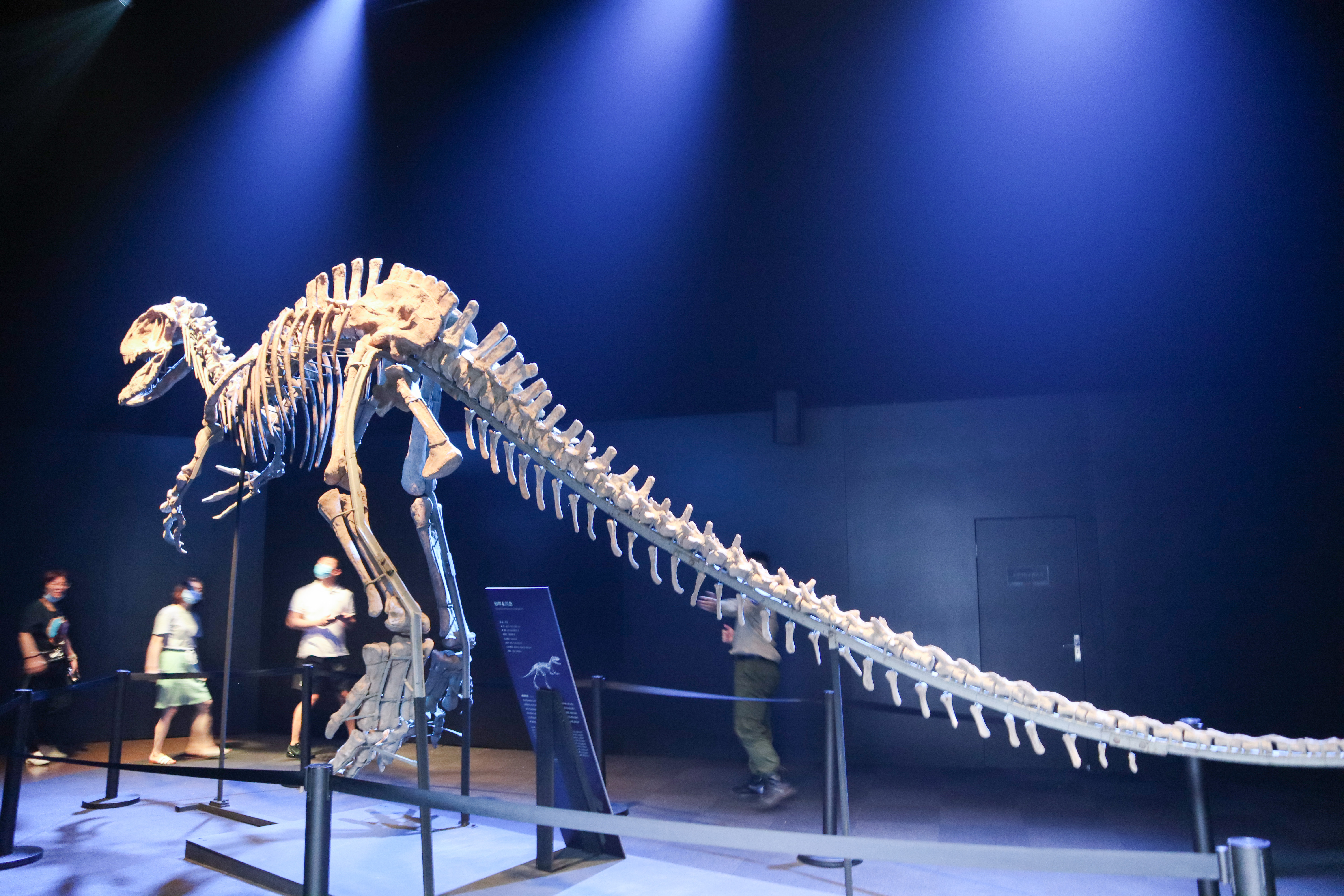 来到侏罗纪公园遇到超真实的恐龙,侏罗纪公园恐龙大探秘