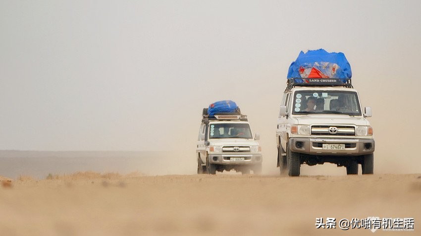 旅行达人整理的特价机票攻略,旅游出行机票省钱干货