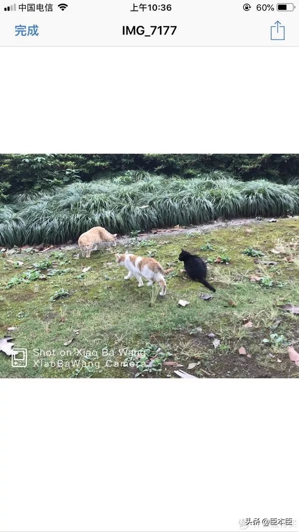 iphone比较实用的捷径指令,iphone100个捷径大全