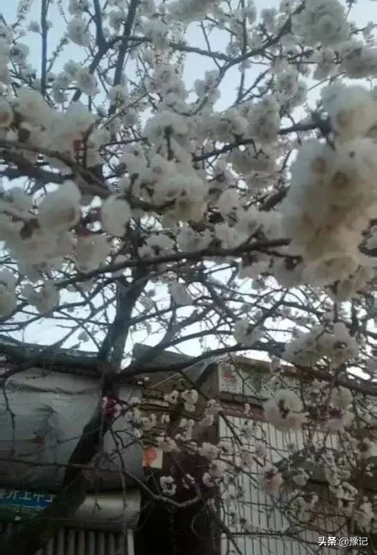 把故事讲给别人听,把故事讲给后来的人听