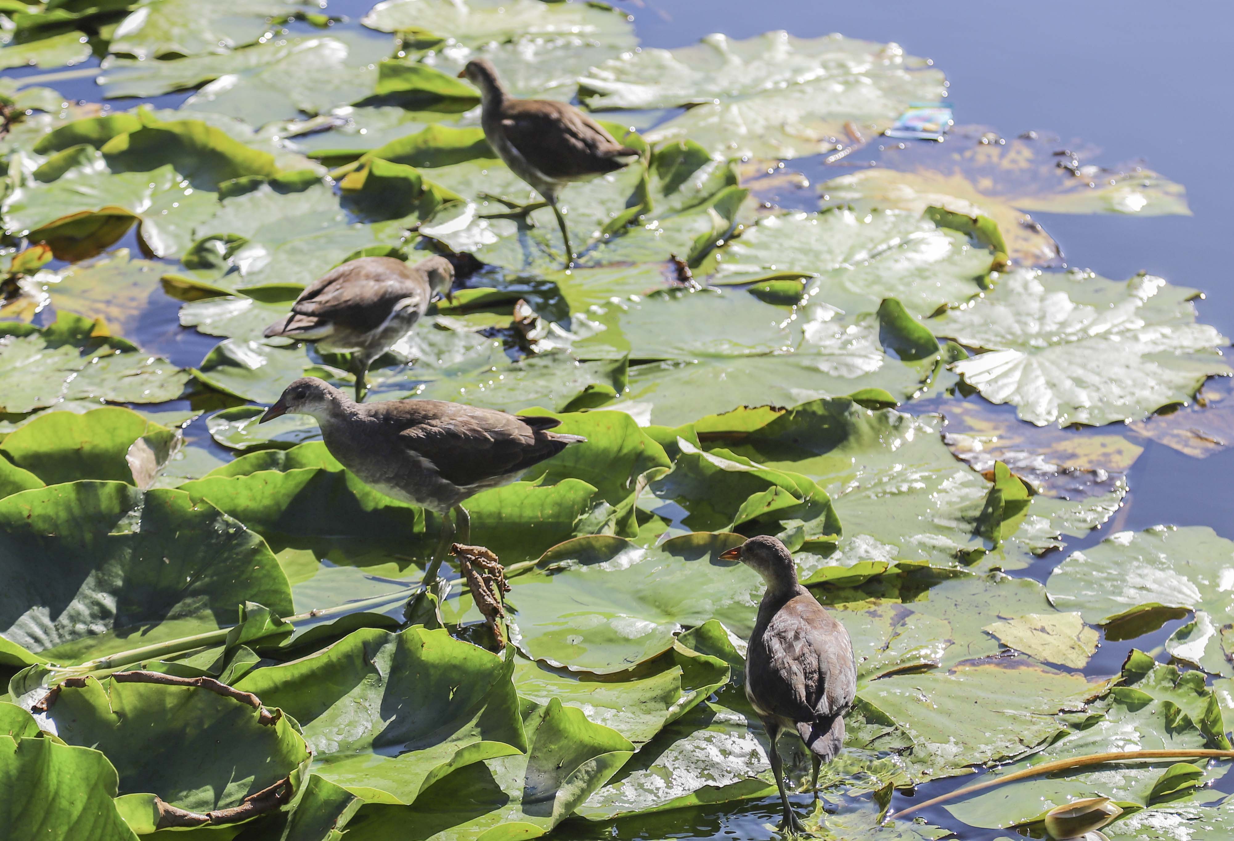 寻美青岛,寻美美景