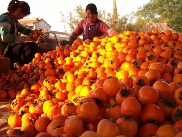 我在长武刚刚好，何必羡慕北上广