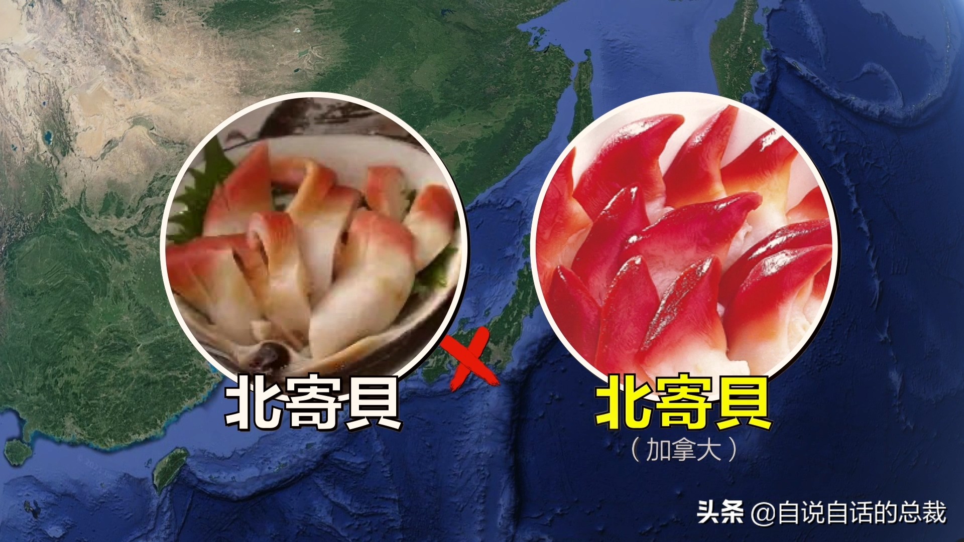 泥蚶和花甲蛤蜊有什么区别,贝螺蚌蛤蚬等怎么区分