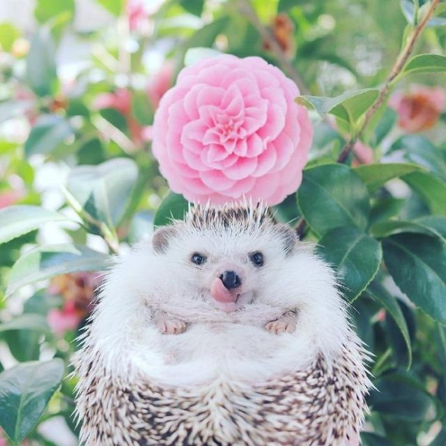 精辟到噎死人的毒鸡汤,搞笑噎人的霸气心灵鸡汤