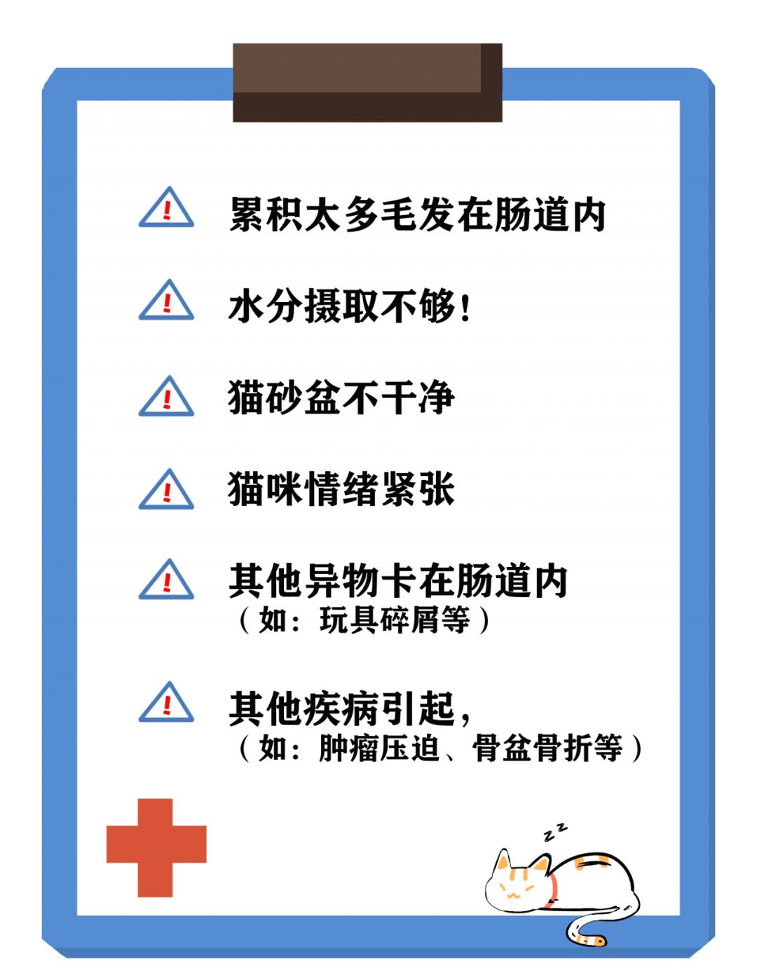 猫咪吃了猫砂便秘怎么排出来,猫咪便秘怎么办6招教你解决