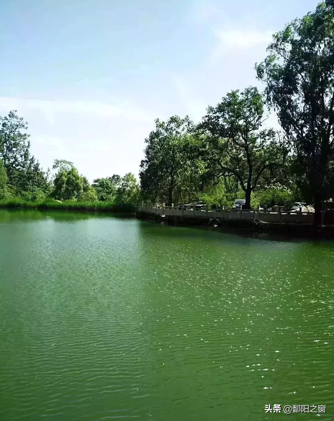 河北有了这些均温不足20℃的空调山，再热情的“烤验”也挡得住