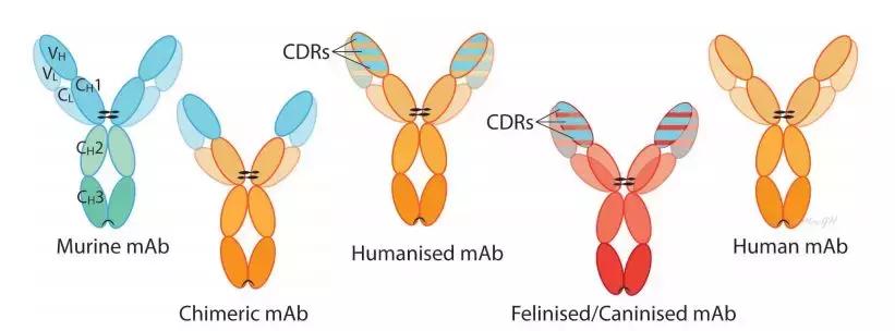 杀死癌细胞的针剂研发出来了吗,药物杀死癌细胞的过程