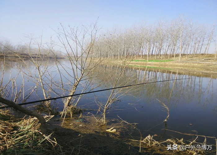 北方春季野钓鲫鱼饵料配方,钓鲫鱼绝佳饵料配方野钓