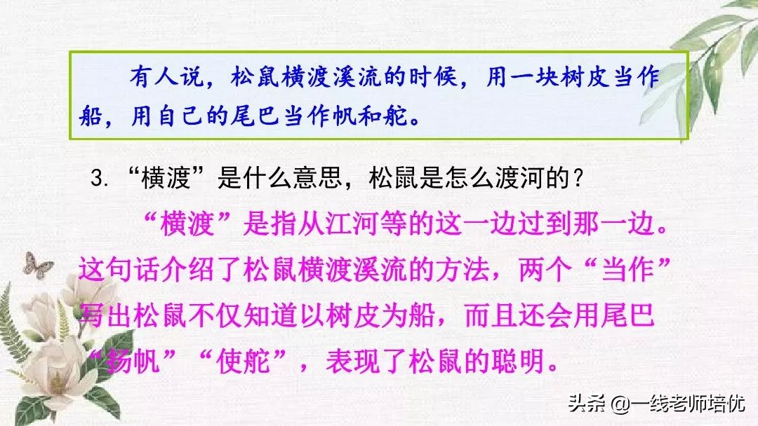 语文五年级上册第17课松鼠资料,部编版五年级上册第17课松鼠课件