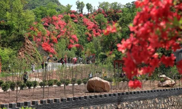 西泰山是什么样的,西泰山为啥叫西泰山