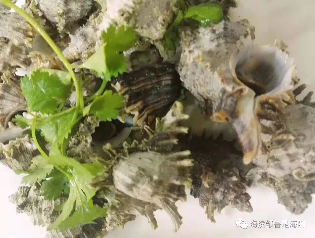 潮州菜有哪些特点,潮州菜属于什么文化