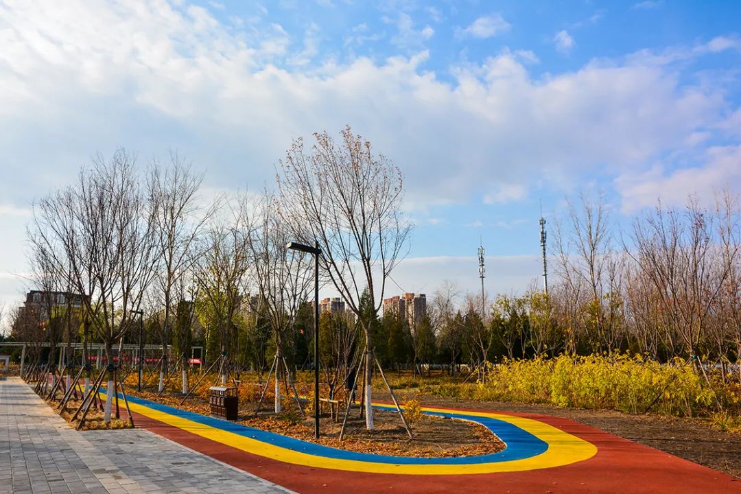 春意盎然北京五大公园,北京区级综合性公园