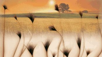 怎么干净清爽不邋遢,夏天怎么便捷去油