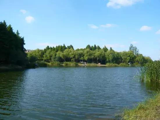 上海变形计全集,变形计上海完整版