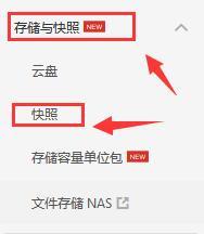 使用阿里云服务器架设代理服务器,阿里云使用快照创建新实例