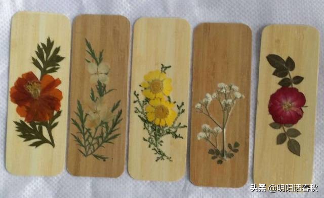 如何制作干花使其可以永久保存,如何制作干花书签