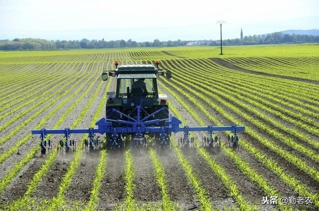 生态农业未来前景如何,生态农业发展趋势
