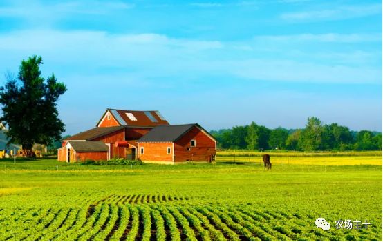 管理农场，或许你还少点火候