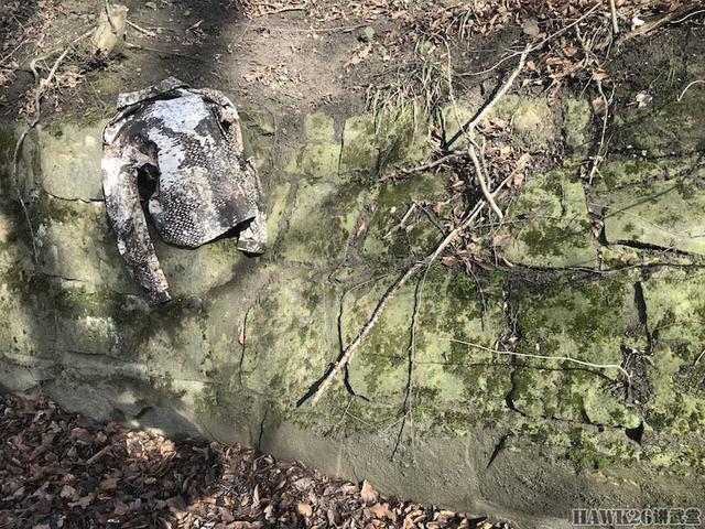 用照片说话：德国幻影公司“黄蜂II”Z4迷彩实际伪装效果如何？