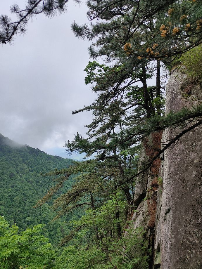 金寨县天堂寨风景区白马大峡谷,金寨县天堂寨风景区雪景