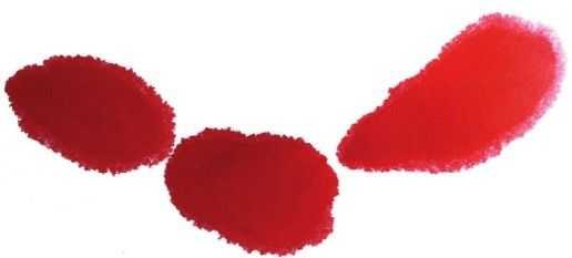 梅花入门画法教程,梅花的十种画法讲解