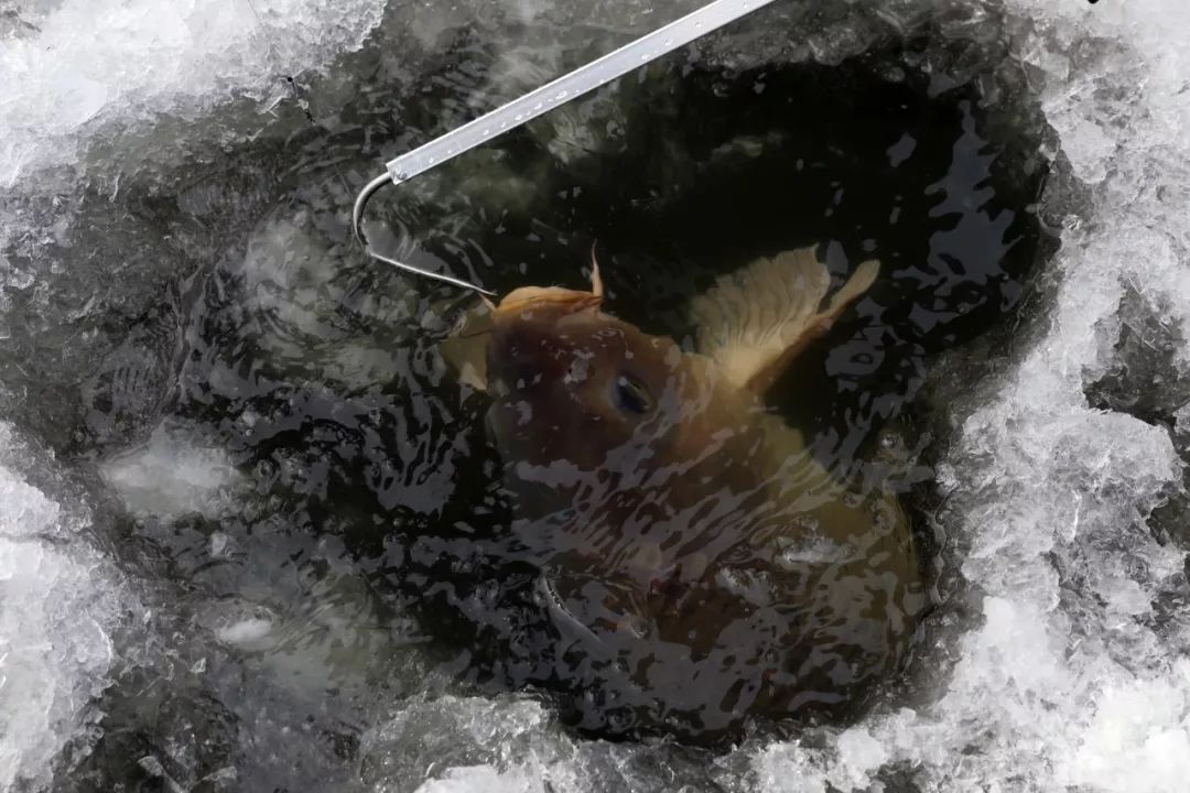 上州屋2019迎新春小西湖冰钓比赛圆满结束