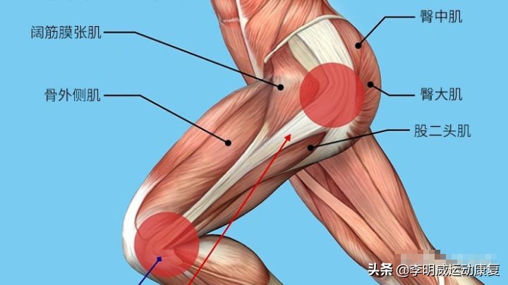 膝盖外侧疼痛，光放松髂胫束可不行！