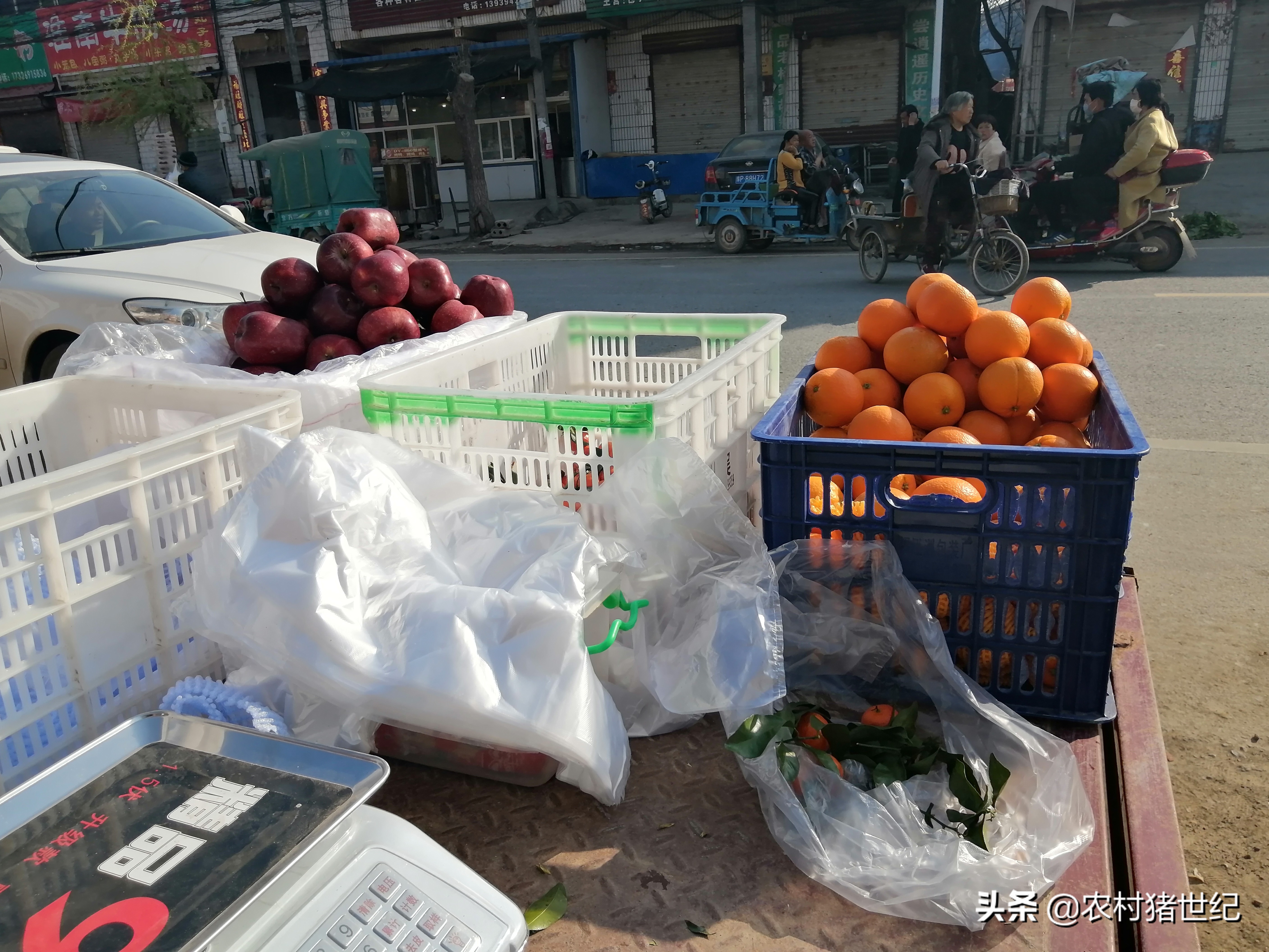 小伙卖蔬菜一年赚了很多,农村小伙卖38棵树赚钱