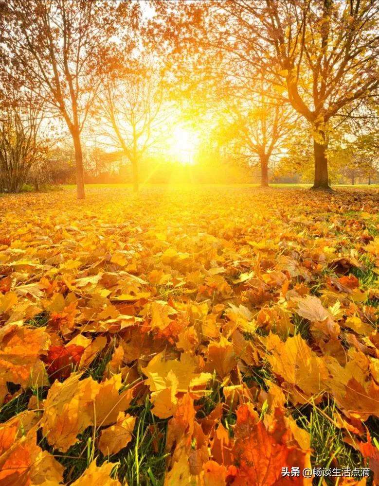 九月十三下雨有什么说法,九月十四下雨什么预兆
