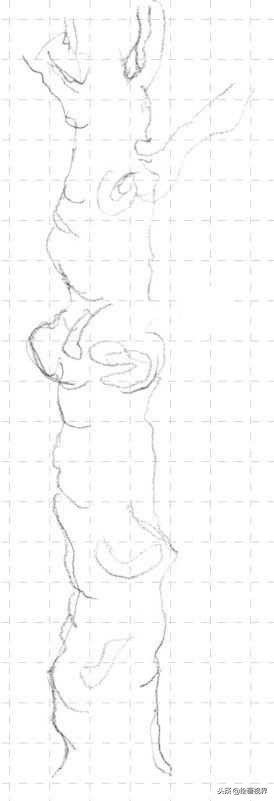 钢笔画入门教程花鸟,钢笔画入门基础教程人物