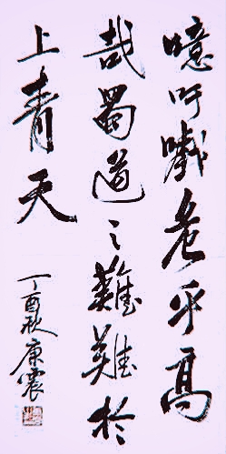 康震朗读诗歌将进酒,康震老师的诗歌解读