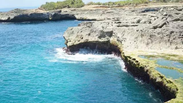 巴厘岛鸟园旅游攻略,大连至巴厘岛旅游自由行攻略