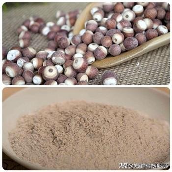 芡实枸杞人参泡水喝的功效与作用,芡实跟什么煮对脾胃好