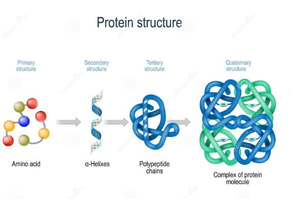 最早的生命到底是咋来的？难道真的是从石头里蹦出来的吗？