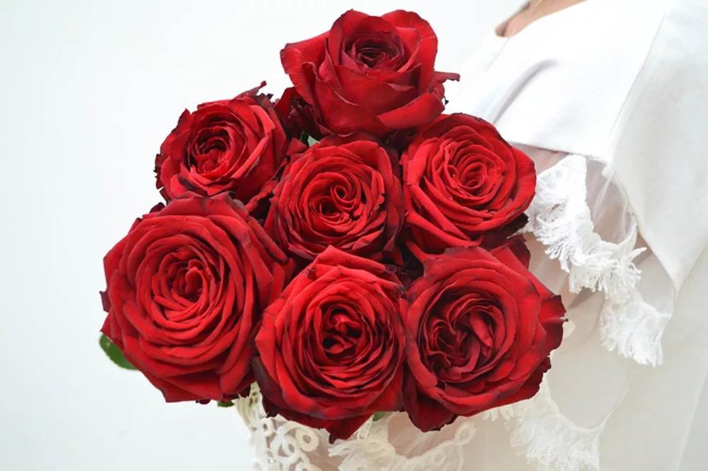 一篇文章带你认识三亚40种花,鲜花图鉴一次性认识30种玫瑰花