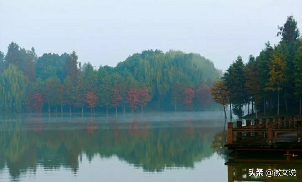 皖北的一个姑娘,安徽皖北姑娘