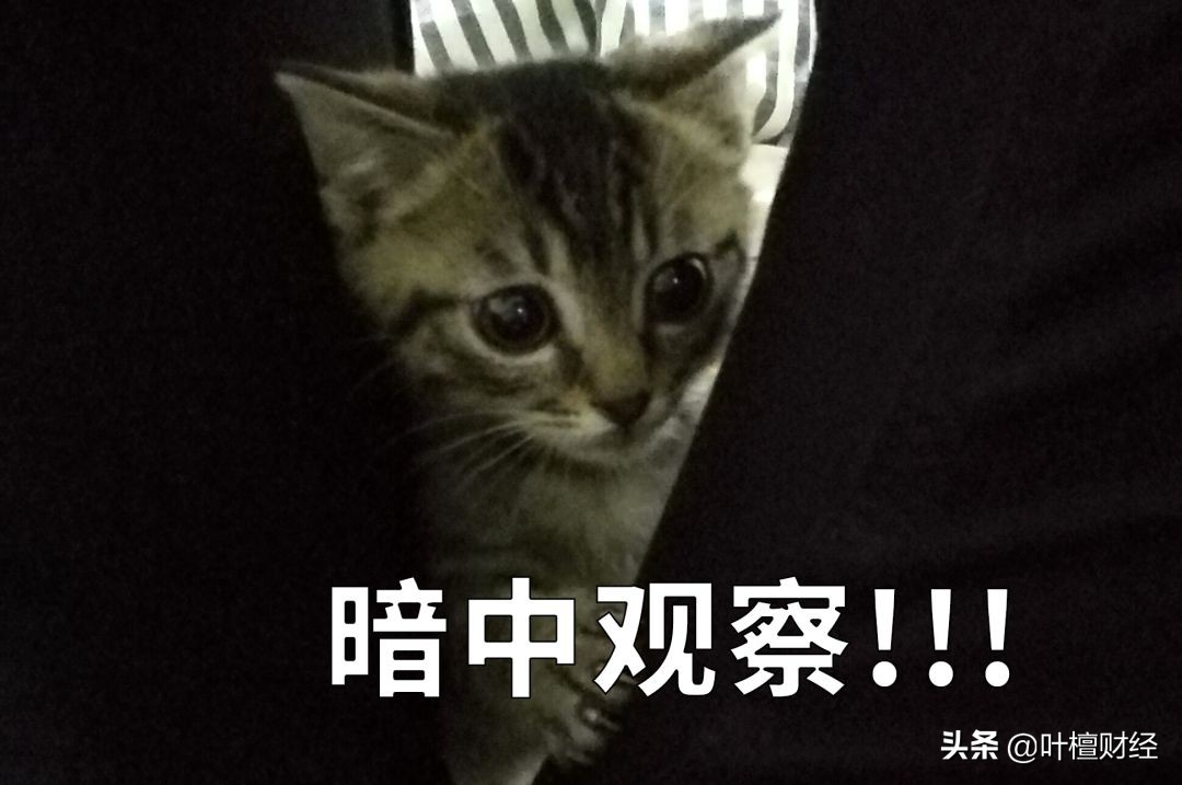 不可思议超越,不可思议的深圳房价