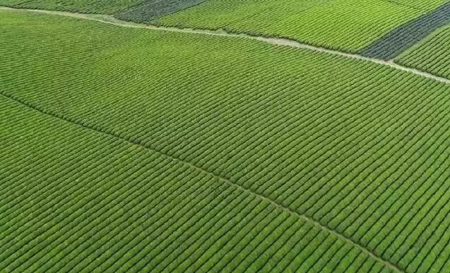 醉美遵义,醉美新遵义