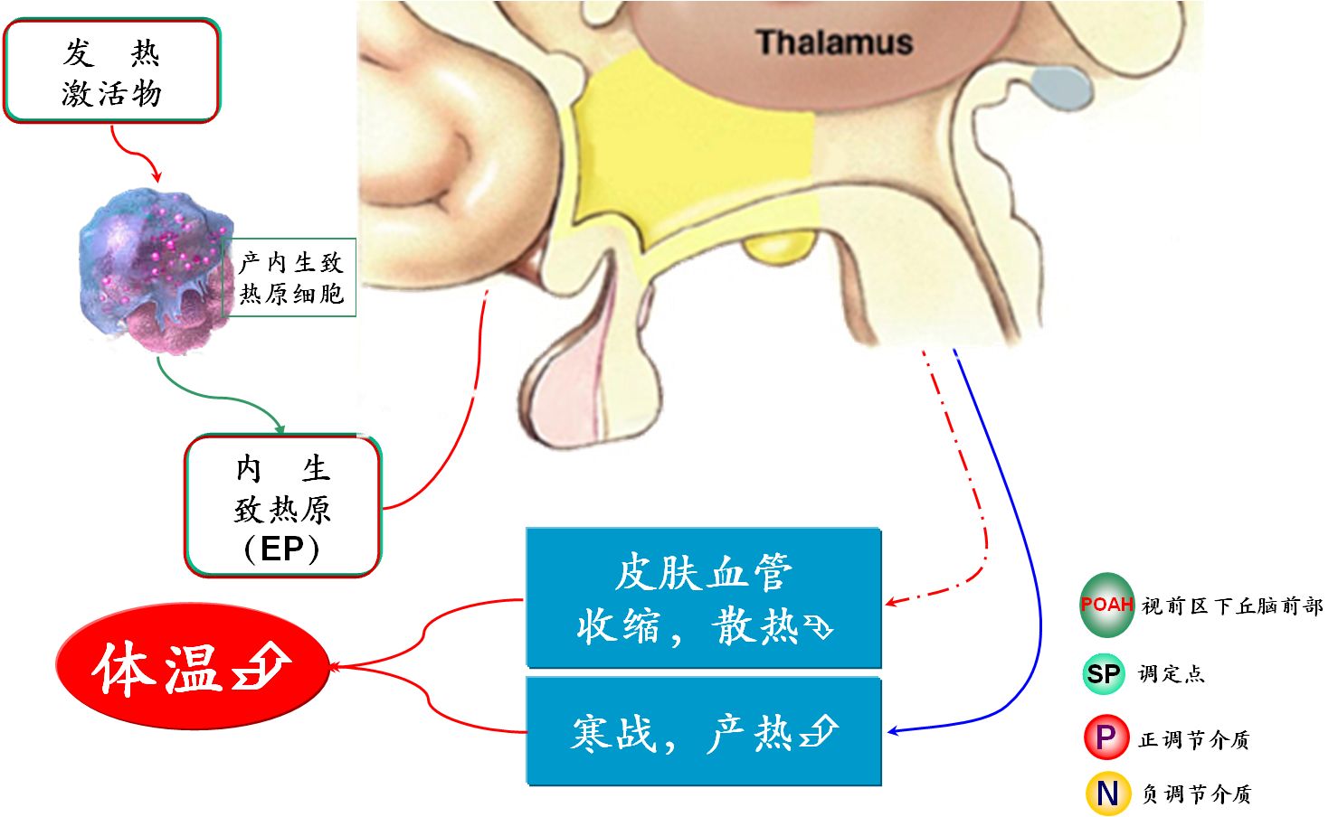 小儿发烧用美林还是对乙酰氨基酚,儿童发烧吃布洛芬还是小儿柴胡