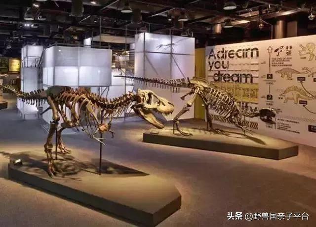 珠三角遛娃自驾游推荐,珠三角遛娃好去处