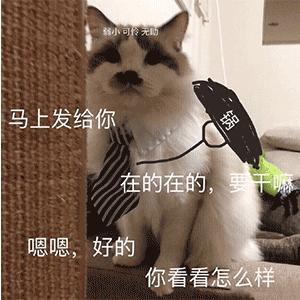 算了还是要上班系列表情包,一想到明天上班就想打个人表情包