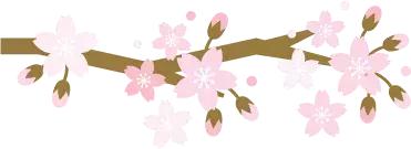 广西有座小城,广西的一座小县城