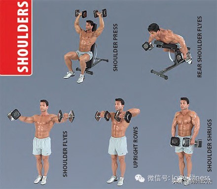 哑铃锻炼胸肌的最佳动作图解,哑铃锻炼手臂图解