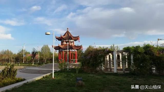 伽师县发展,伽师发展